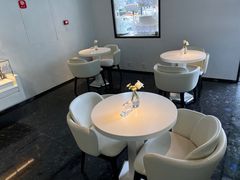 -BLACKSWAN黑天鹅(环球店)