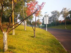 -济南国际园博园