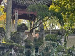 -天一阁博物院