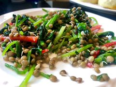 -尹兰楼西北风情餐厅(嘉定店)