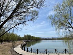 -野鸭湖国家湿地公园