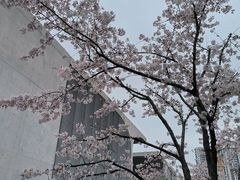 -龙美术馆(西岸馆)