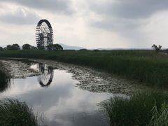 场地-太湖湖滨国家湿地公园-停车场