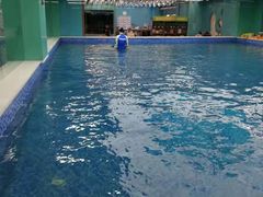 -Swim斯卫姆国际儿童游泳中心(红博中央公园店)