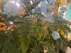 -北京汉斯特自助烤肉(临朐店)