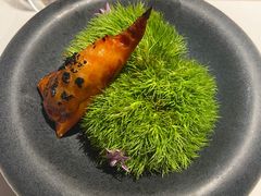 -觀芷隐轩
