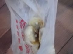 -吃不亏特色包子(三峡广场店)