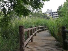 -成都市活水公园