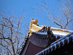 -故宫博物院(故宫)