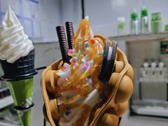 -Salud撒露欧洲冻酸奶(北苑上品店)