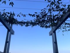 -杭嘉湖咬强羊肉面馆(永兴路总店)