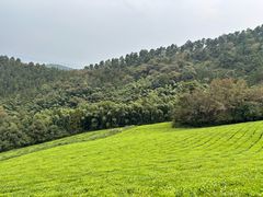 -敬亭山风景名胜区