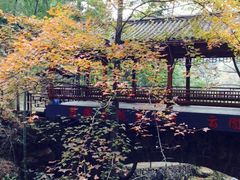 -藏龙百瀑风景区