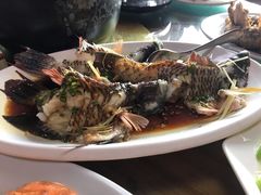 -蓝湾碧波·老字号·疍家非遗海上餐厅