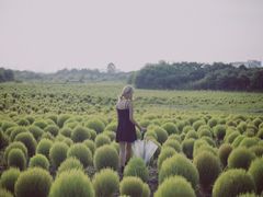 -映月湖中央公园