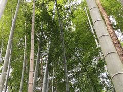 -敬亭山风景名胜区