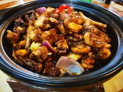 -三得正宗乌烈乳羊(环城东二路店)