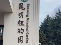 -昆明植物园