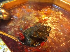 -蜀九香火锅(彩虹店)