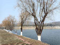 -羊山湖公园