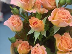 -季季红火锅(长沙步行街店)