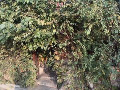 -斯多格书乡(北京大学畅春园店)
