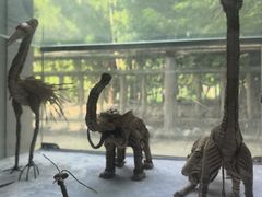 -石家庄市动物园