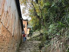 -杨家堂村
