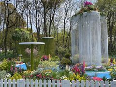 -上海共青森林公园