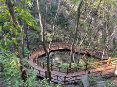 -大岭沟猕猴桃谷风景区