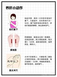 点击看大图 -玛莲朵·海菲秀冰珀科