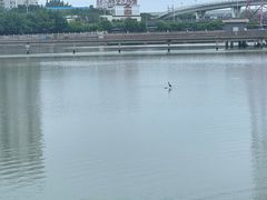 -东南里湖景餐厅·新闽菜(浦西万达店)