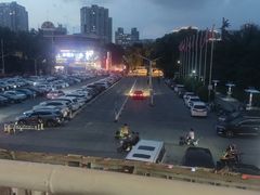 -大孩龙虾(体育场旗舰店)