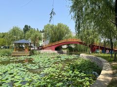 -稻香湖公园