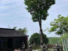 -沙家浜风景区