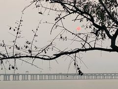 -宝安西湾红树林湿地公园