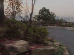 -杭州半山国家森林公园