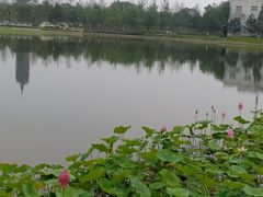 -西海子公园