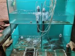 -小时候焗海鲜(鄞州万达店)