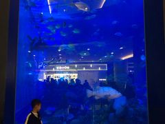 -成都浩海立方海洋公园