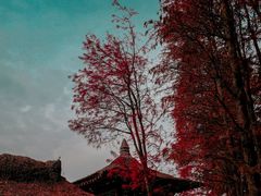 -采石矶景区