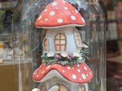 -视博茶点(美狮美高梅店)