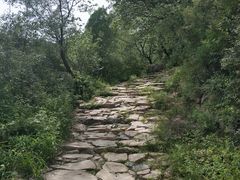 -阳台山自然风景区