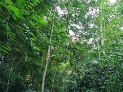 -天目湖御水温泉·度假酒店