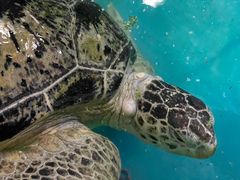 -泉城欧乐堡海洋极地世界