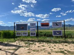 -野鸭湖国家湿地公园