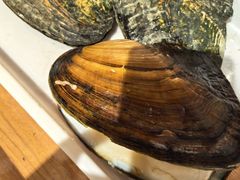 -十八字金·银饰·开蚌DIY·手工体验团建(魏公芳华里店)