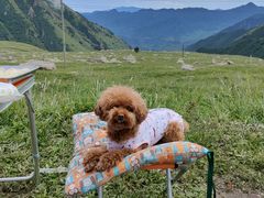 -蔚县茶山村