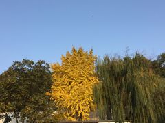 -食膳公园包子铺(烈士公园店)