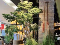 -绿茶餐厅(同成街华联店)